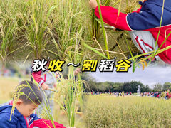 -广东花都香草世界旅游度假区