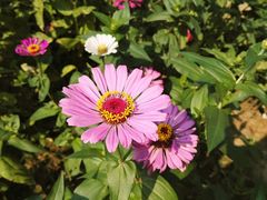 -艾溪湖湿地公园