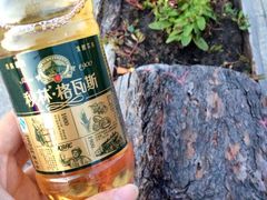 -室韦口岸