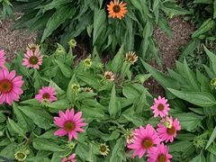 -莹珠阁·私房菜