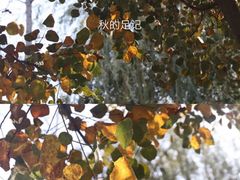 -郑东新区龙湖公共艺术中心