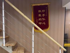 -米苏动物医院·犬猫专科·骨科外科内窥镜