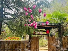 -西安金龙峡风景区