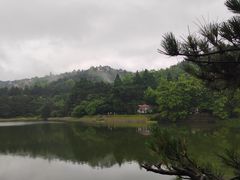 -庐山风景区花径公园