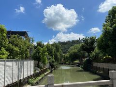 -上海佘山国家森林公园西佘山园