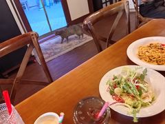 -猫岛主趣味餐厅(鼓浪屿店)