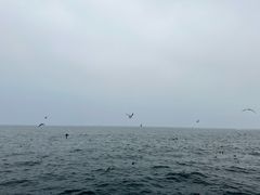 -星海广场