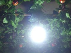 大堂-北三老太太烧烤(人生一串上榜店)