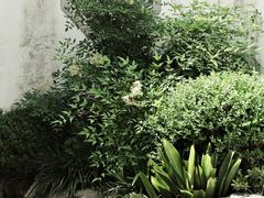 -青果巷历史文化街区