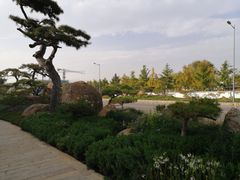 -罗红摄影艺术馆