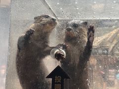 -波塞冬旅游度假区