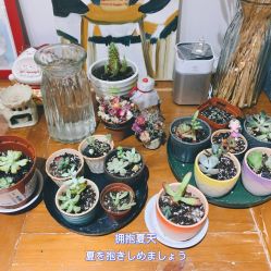 -爱薇半永久工作室