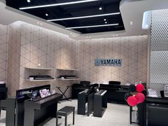 -知音艺术教育培训·钢琴培训·音乐培训(河西金鹰世界校区)