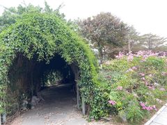 -东莞植物园