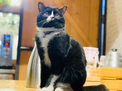 -么么咖啡(燕郊店)