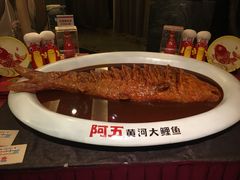 -阿五黄河大鲤鱼(纬三路店)