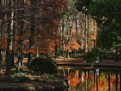 -上海共青森林公园