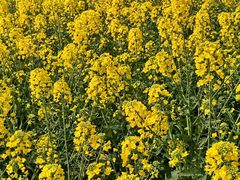 -古宇湖风景名胜区