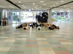 -香港大学