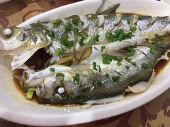 清蒸排鱼-晓琦农家菜馆·地道农家菜