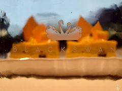 -BLACKSWAN黑天鹅(环球店)