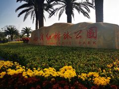 -宝安西湾红树林湿地公园