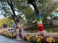 -溱湖国家湿地公园