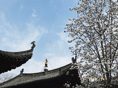 -长春观