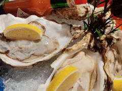 爱尔兰生蚝-九州酒场ひこぞう(1号店)
