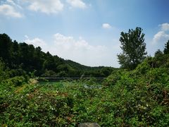 -九龙潭景区