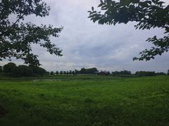 -苏州湾体育公园