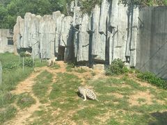 -无锡动物园·太湖欢乐园
