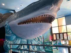 -多彩贵州城极地海洋世界