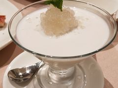 燕窝奶冻-陶陶居海鲜酒家(新马路店)