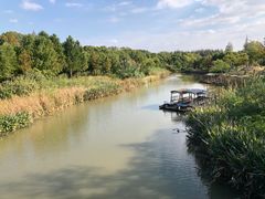 -上海长兴岛郊野公园