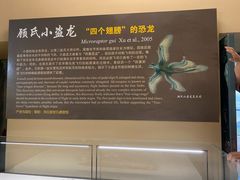 -辽宁古生物博物馆
