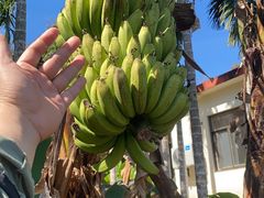 -七仙岭温泉国家森林公园