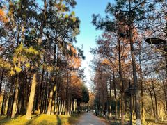 -西溪国家湿地公园