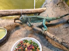 -上海大自然野生昆虫馆