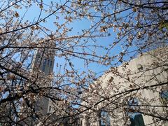 -重庆工商大学(南岸校区)