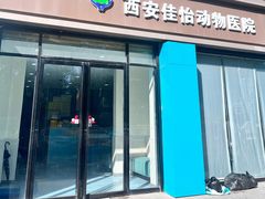 -佳怡动物医院·平价24小时·猫专科骨外科