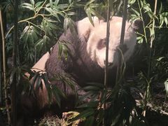 -天津自然博物馆