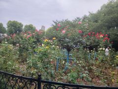 -堤角公园