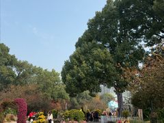 -南山植物园