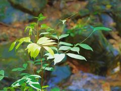 -飞霞风景名胜区
