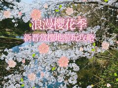 -上海共青森林公园