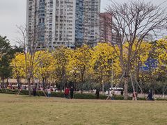 -洲头咀公园