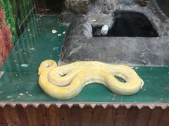-上海大自然野生昆虫馆(东方明珠·爬宠昆虫探索中心)
