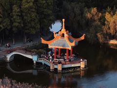-金砂公园