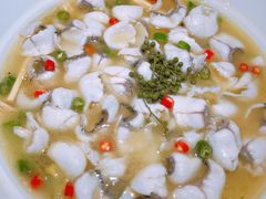 -青花椒花椒鱼(合生汇店)